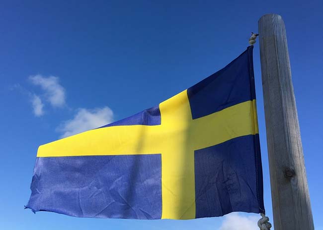 Реферат: Швеция: история на месте ее действия