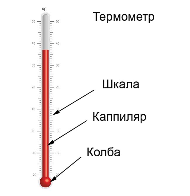 Части термометра